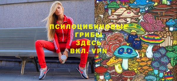 гашик Армянск